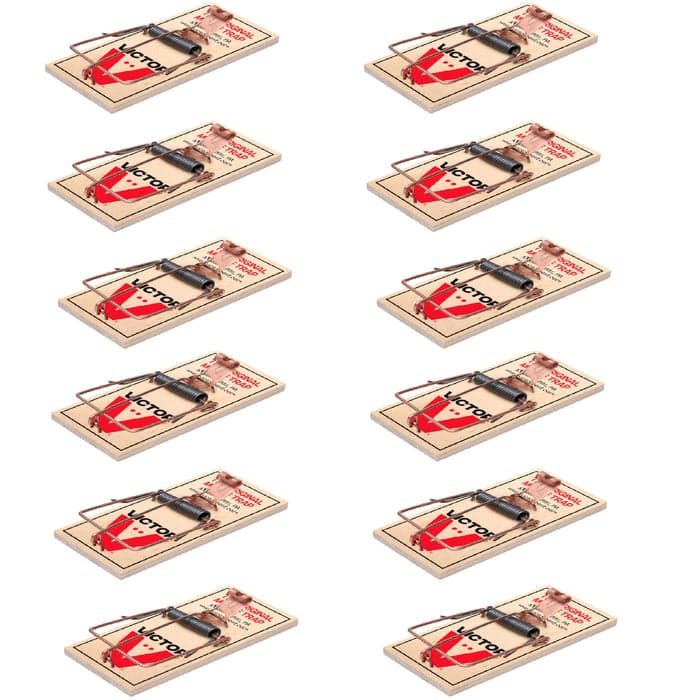 Product — image 1